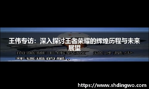 王伟专访：深入探讨王者荣耀的辉煌历程与未来展望